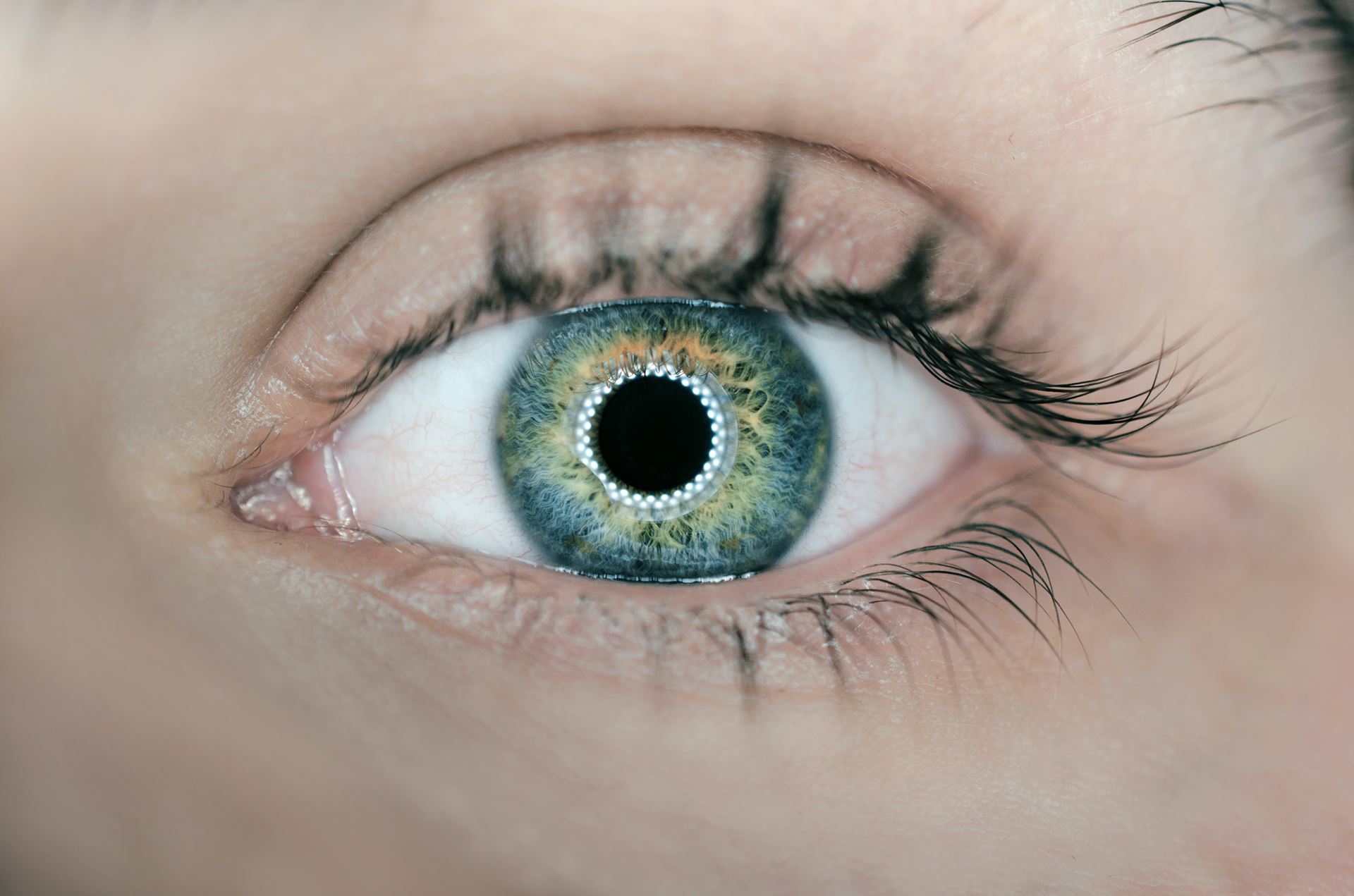 close up blue eye