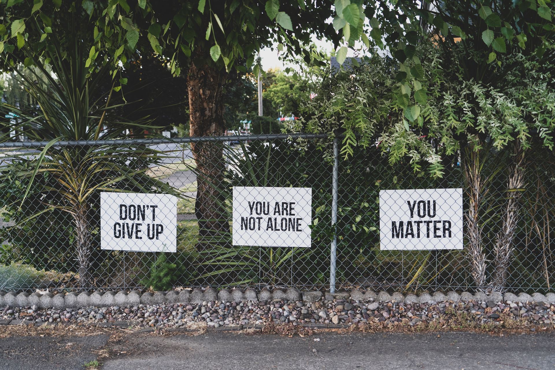 3 signs read Don't give up, you are not alone, you matter